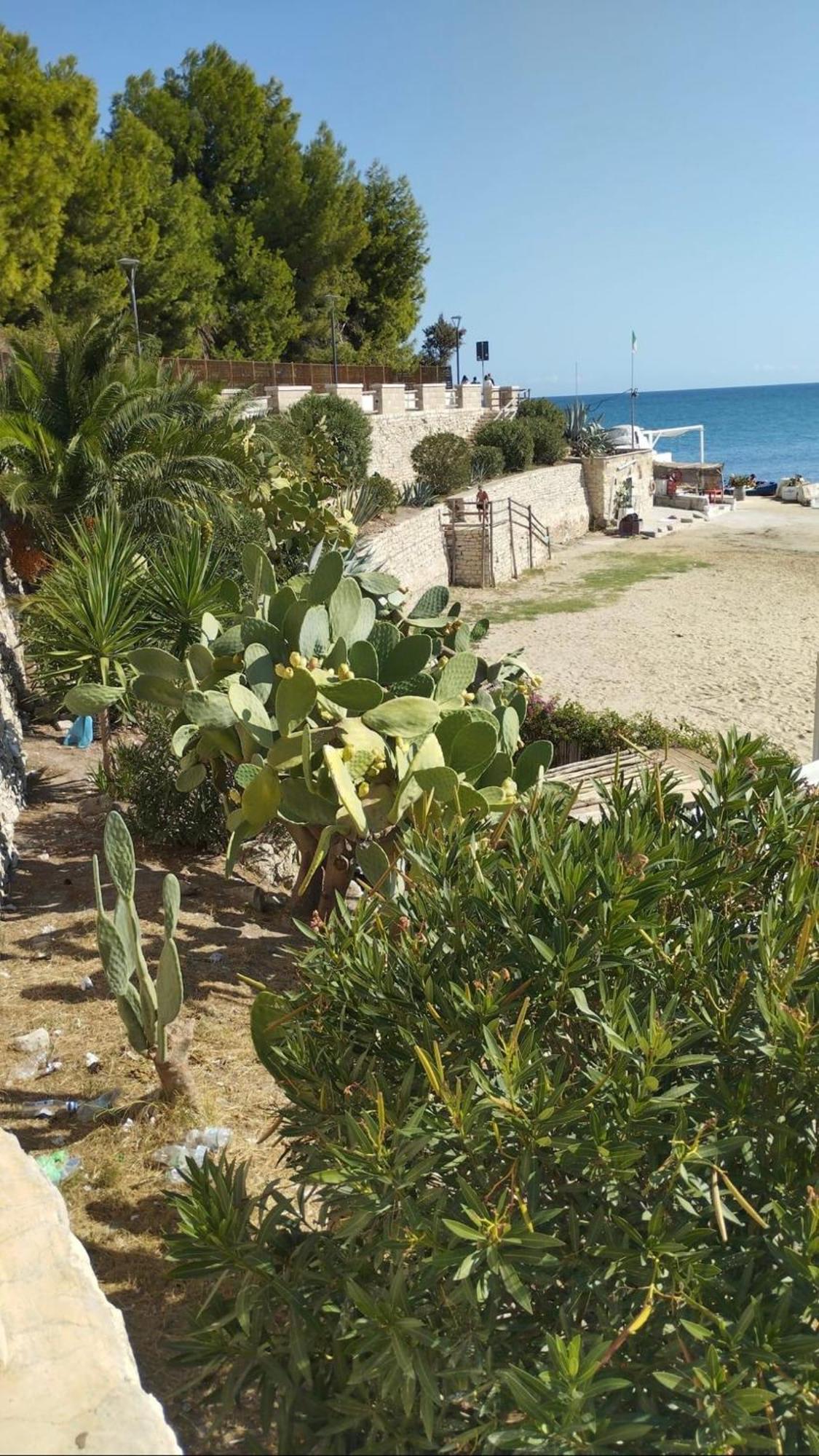 טרני B&B Villa Mediterranee Con Parking Space מראה חיצוני תמונה