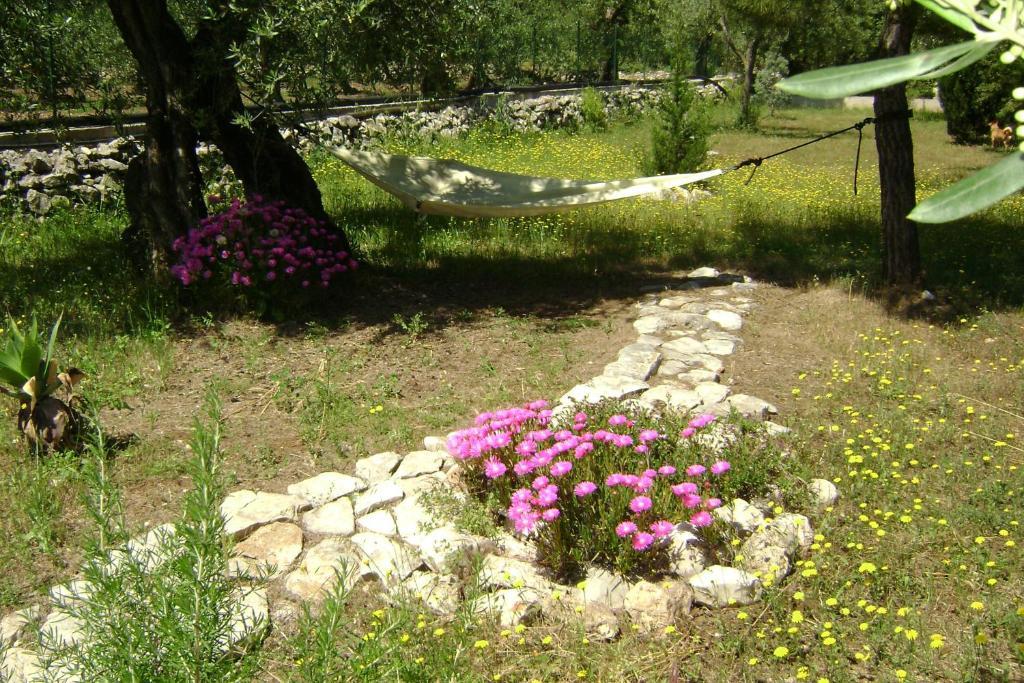 טרני B&B Villa Mediterranee Con Parking Space מראה חיצוני תמונה